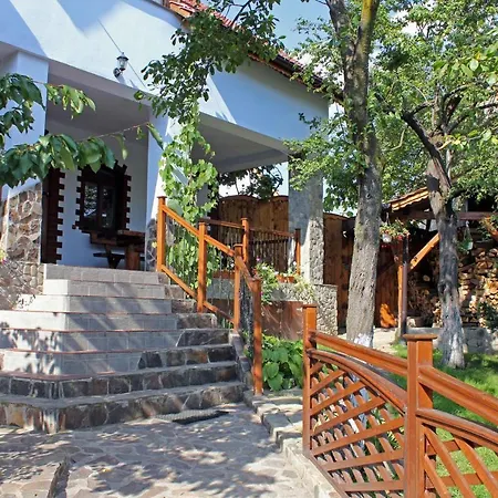 Casa Crina Villa Sălişte
