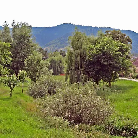 Villa Casa Crina