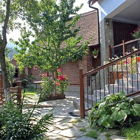 Casa Crina Villa